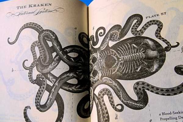 Сайт кракен kraken