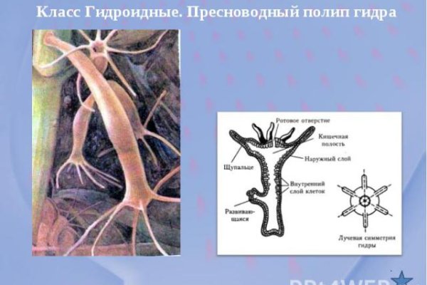 Ссылки тор браузер